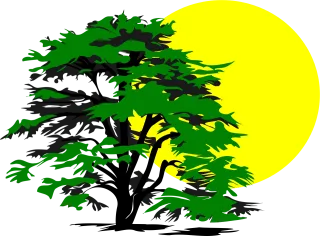 Tree Sun Glow Stickdatei