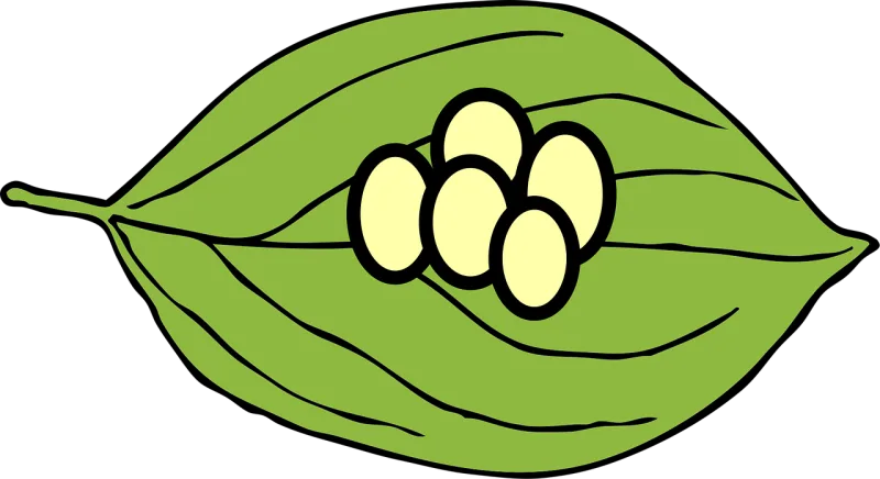 Leaf Eggs Butterfly Stickdatei – Essen & Trinken