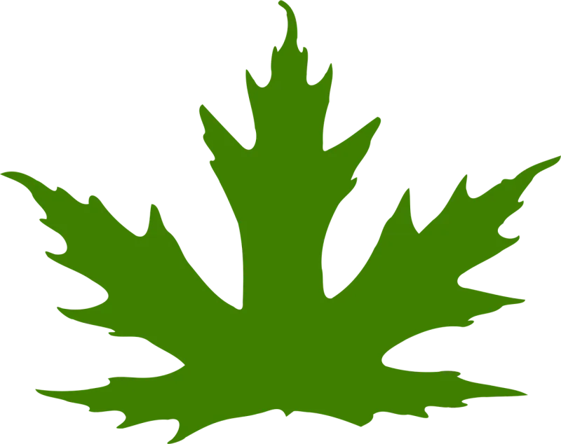 Leaf Maple leaf Maple Stickdatei – Natur