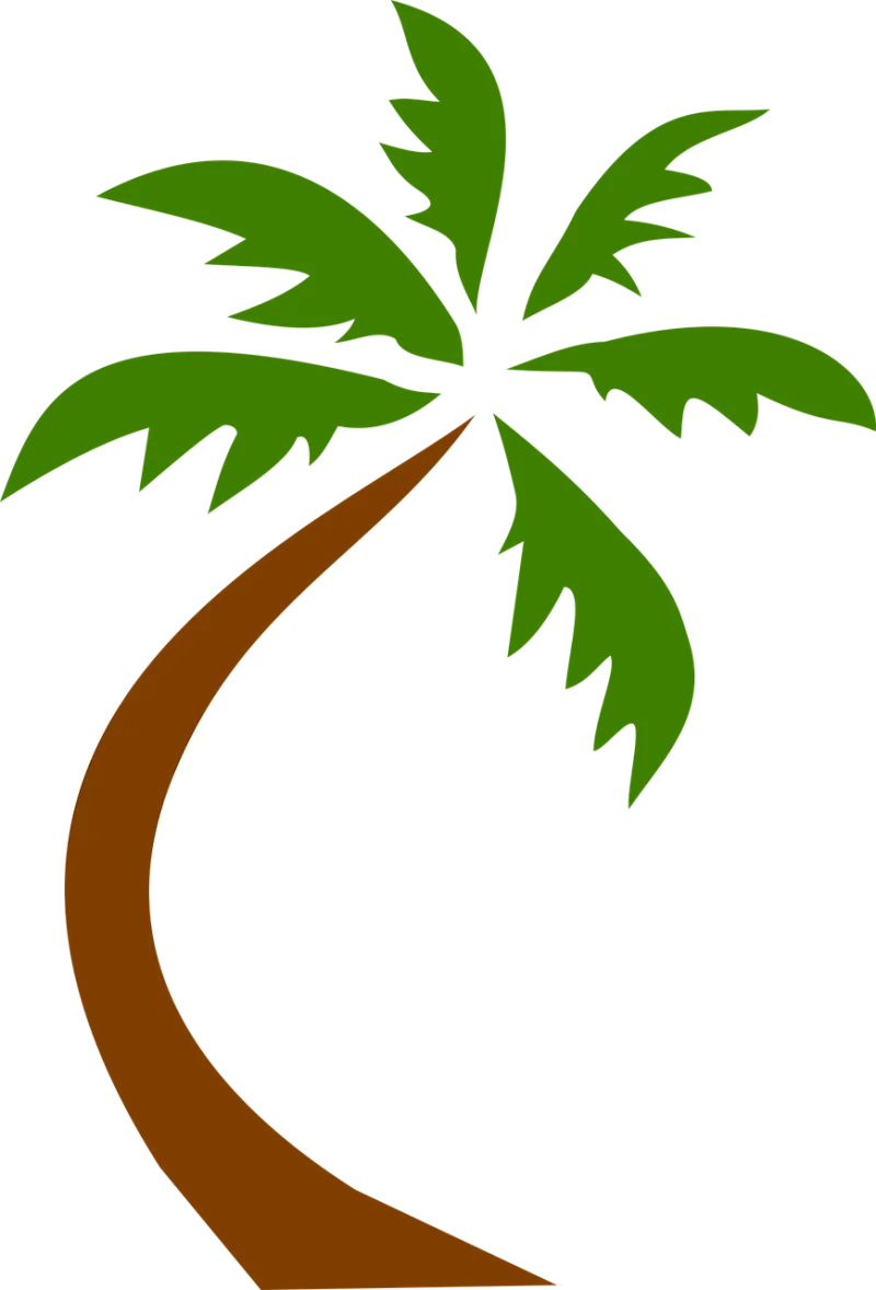 Coconut Tree Tropical Stickdatei – Natur