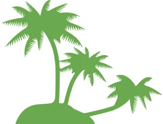 Coconut palm Palm tree Trees Stickdatei