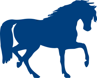 Horse Animal Stallion Stickdatei