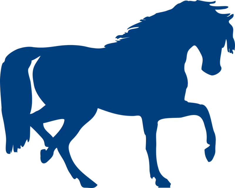 Horse Animal Stallion Stickdatei – Tiere