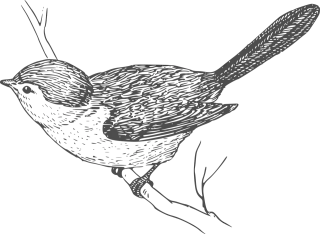 Bird Perching Branch Stickdatei