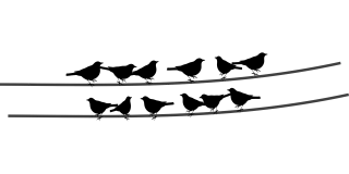 Birds Wire Cable Stickdatei