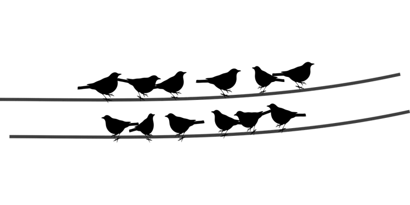 Birds Wire Cable Stickdatei – Tiere