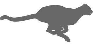 Cheetah Animal Fast Stickdatei