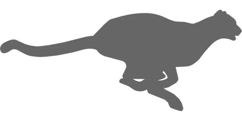 Cheetah Animal Fast Stickdatei – Sport