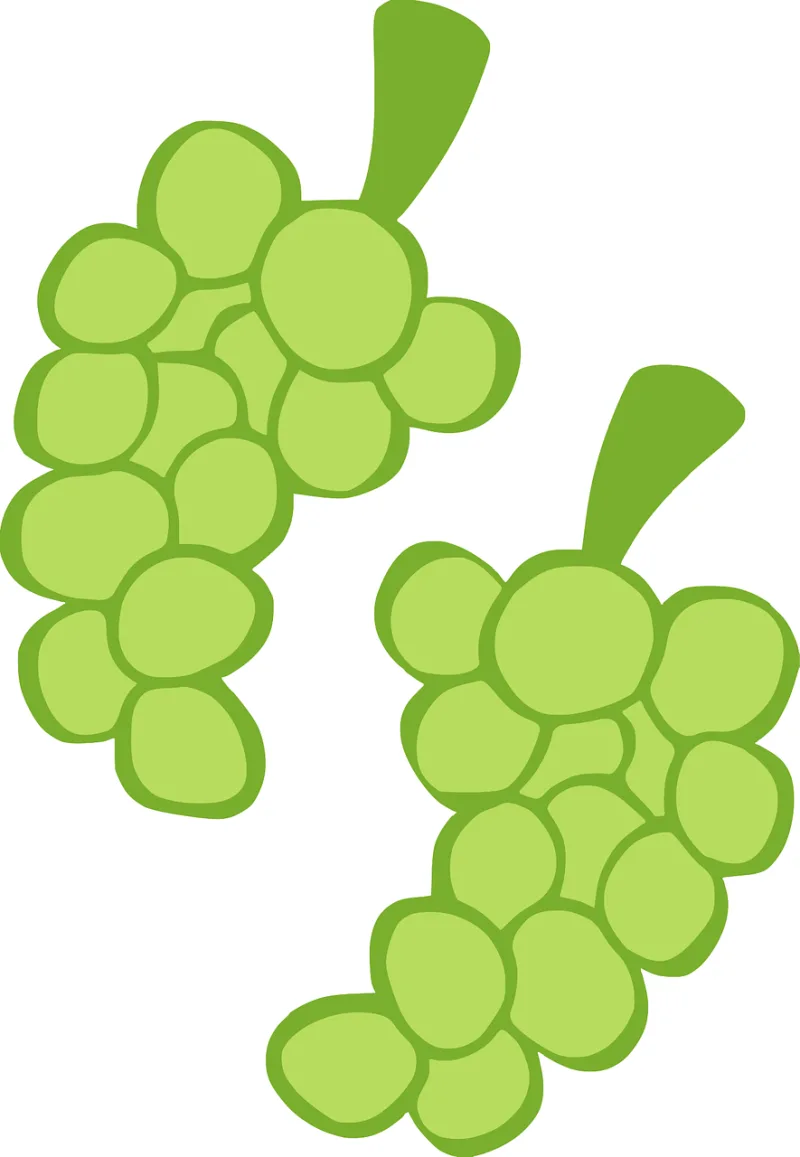 Grapes Green Fruit Stickdatei – Essen & Trinken