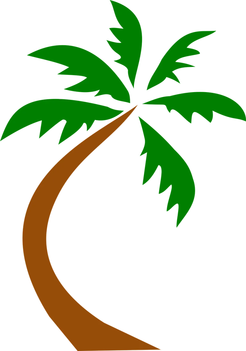Coconut palm Tree Curved Stickdatei – Natur