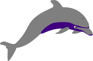 Dolphin Nature Leaping Stickdatei