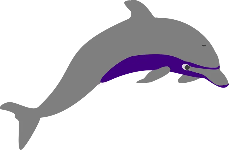 Dolphin Nature Leaping Stickdatei – Tiere