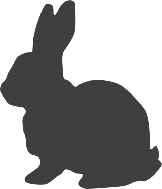 Rabbit Hare Bunny Stickdatei