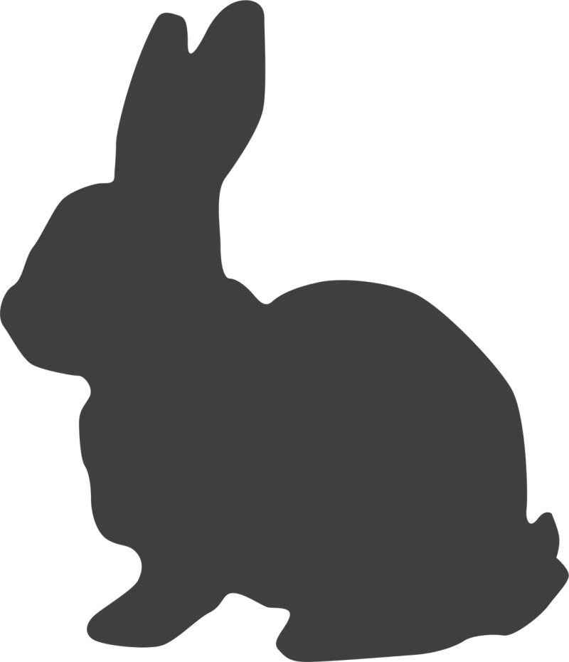 Rabbit Hare Bunny Stickdatei – Tiere