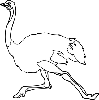 Ostrich Bird Animal Stickdatei