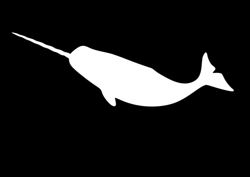 Narwhal Aquatic Reddit Stickdatei – Kinder