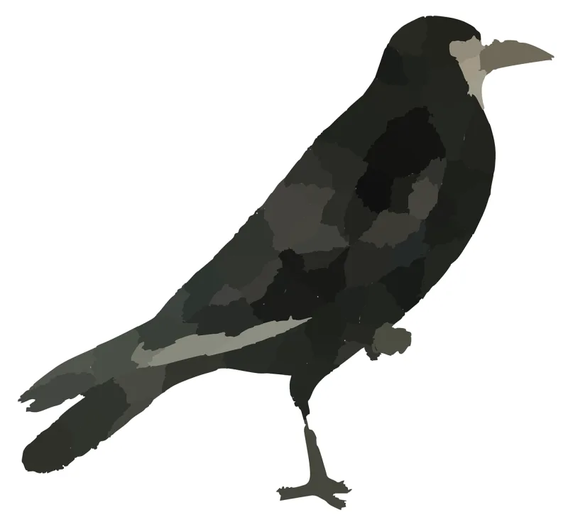 Raven Black bird Crow Stickdatei – Tiere