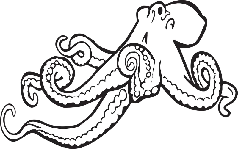 Octopus Sea Animal Stickdatei – Sport