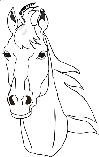 Horse Head Portrait Stickdatei