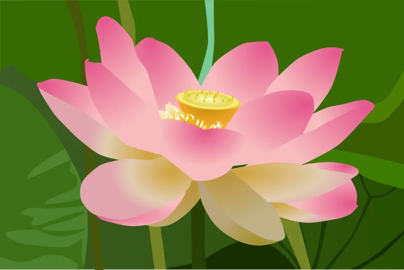 Lotus Beautiful flowers Flower Stickdatei – Blumen