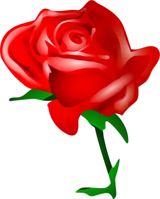 Rose Nature Rose flower Stickdatei