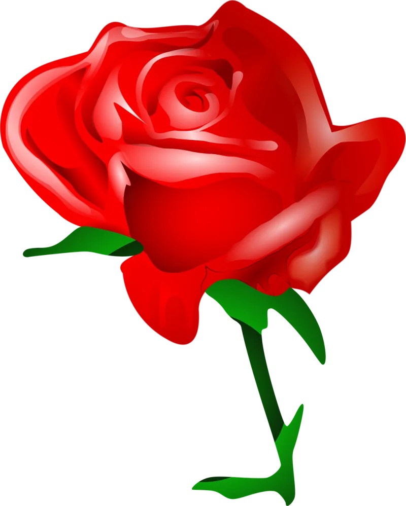 Rose Nature Rose flower Stickdatei – Herzen & Liebe