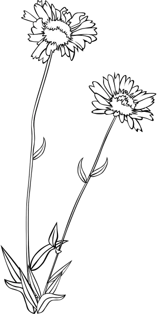 Wildflower Flower Flower wallpaper Stickdatei – Blumen