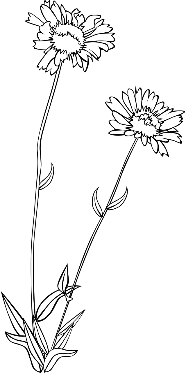 Wildflower Flower Flower wallpaper Stickdatei – Blumen