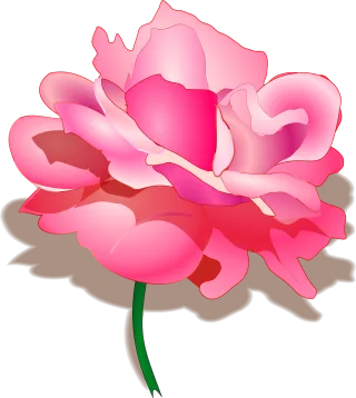 Rose Beautiful flowers Flower wallpaper Stickdatei – Blumen