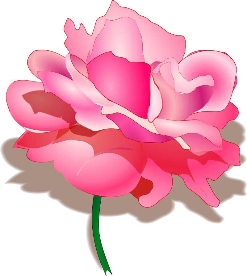 Rose Beautiful flowers Flower wallpaper Stickdatei – Blumen