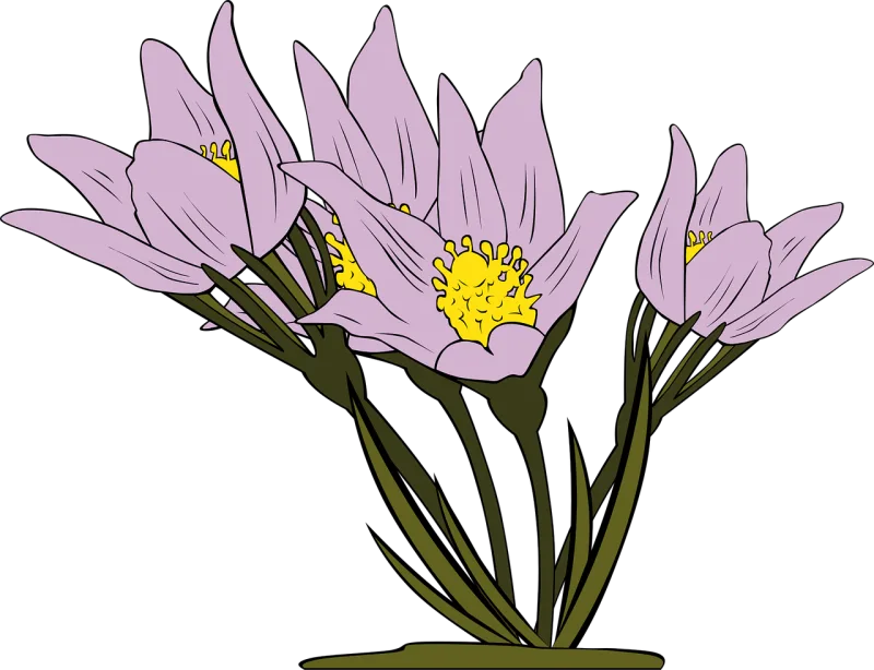Anemone Flowers Flower background Stickdatei – Blumen