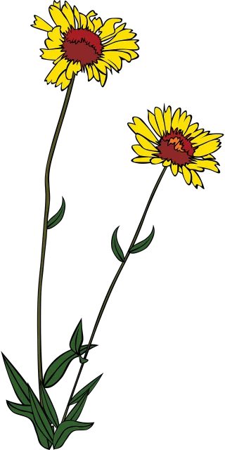 Flowers Yellow Plants Stickdatei