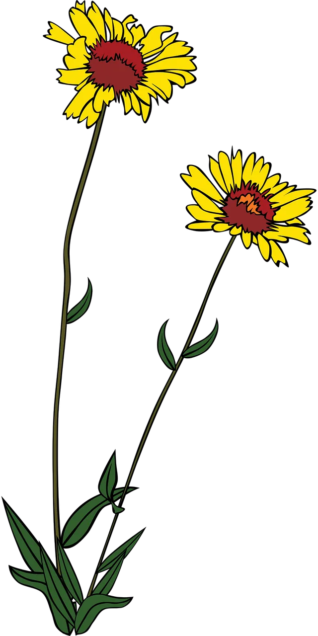 Flowers Yellow Plants Stickdatei – Blumen