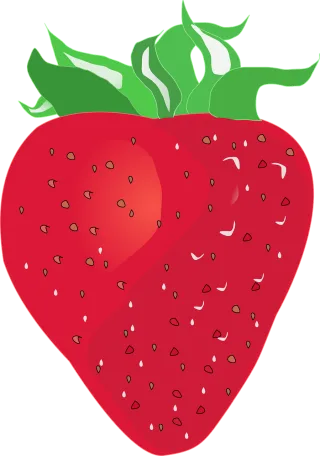 Strawberry Nature Red Stickdatei