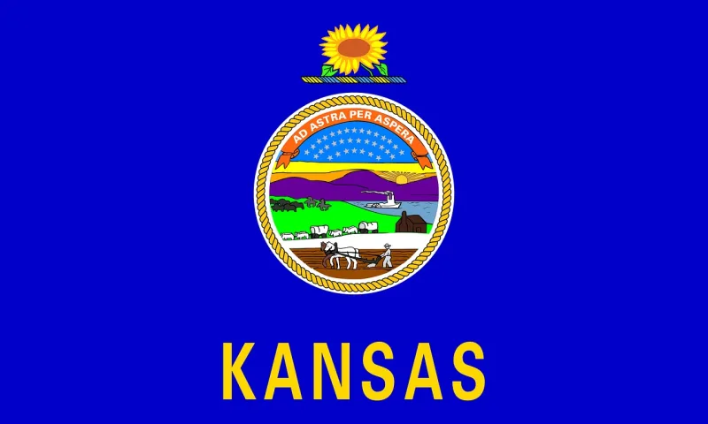Kansas Flag State Stickdatei – Blumen