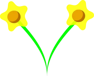 Daffodil Narcissus Bulbous perennials Stickdatei – Blumen
