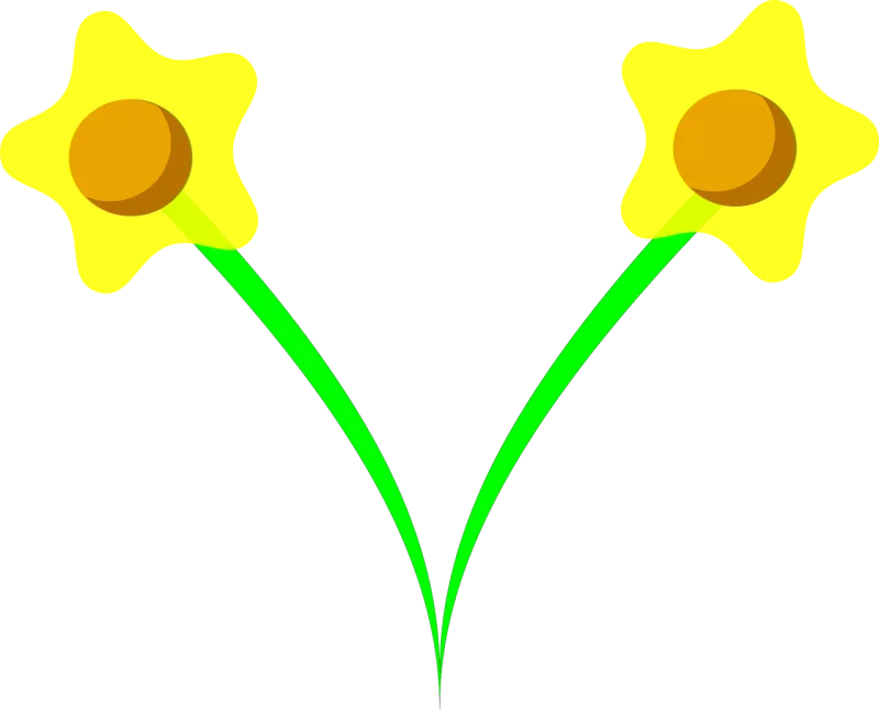Daffodil Narcissus Bulbous perennials Stickdatei – Blumen