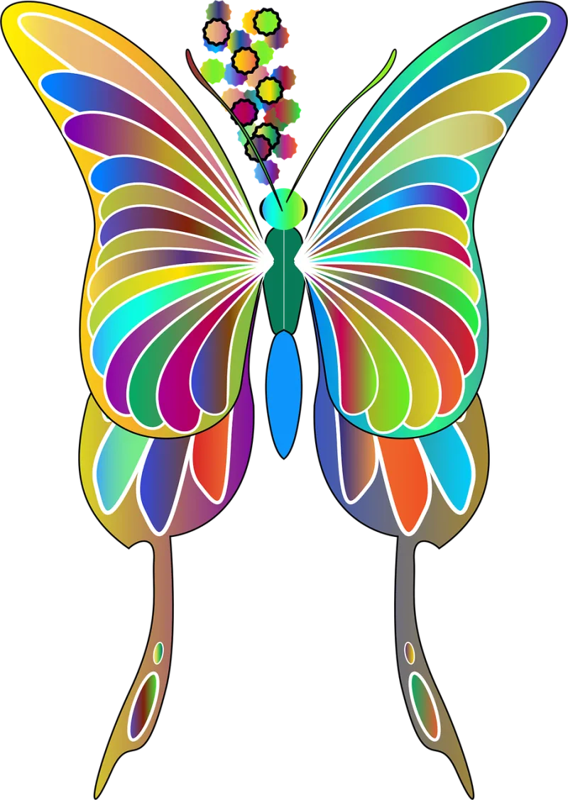 Butterfly Animal Insect Stickdatei – Kinder