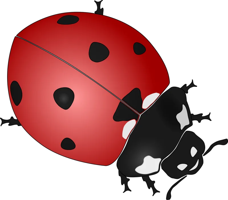 Ladybug Insect Beetle Stickdatei – Tiere