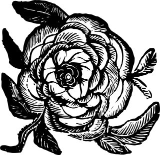 Rose Flower Vintage Stickdatei