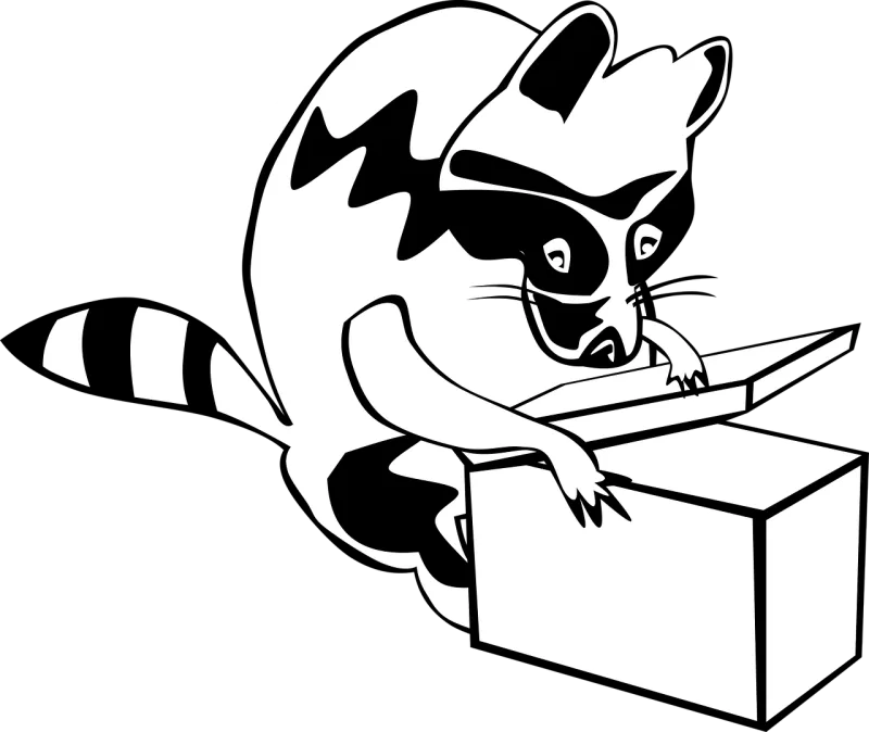Raccoon Box Animal Stickdatei – Sport