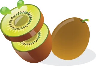 Actinidia deliciosa Kiwi Chinese strahlengriffel Stickdatei