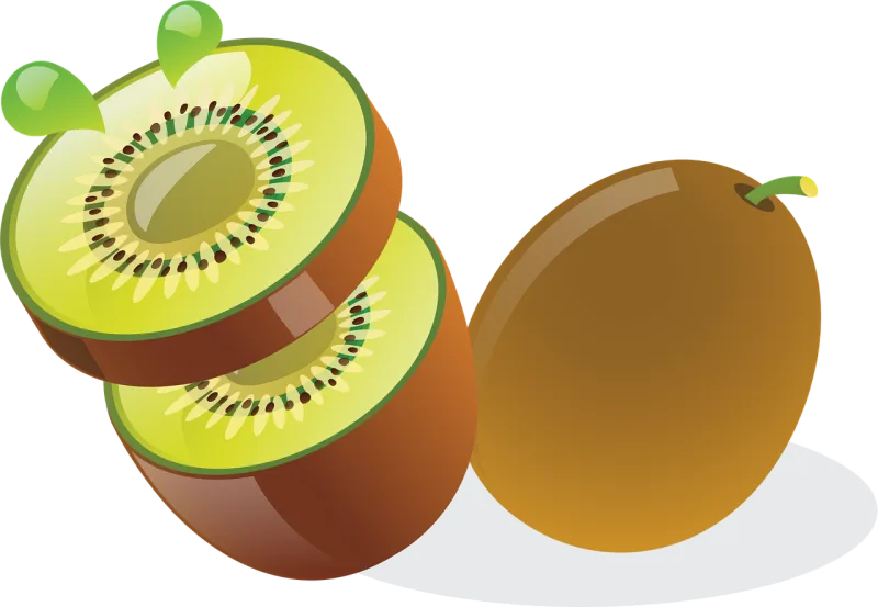 Actinidia deliciosa Kiwi Chinese strahlengriffel Stickdatei – Essen & Trinken