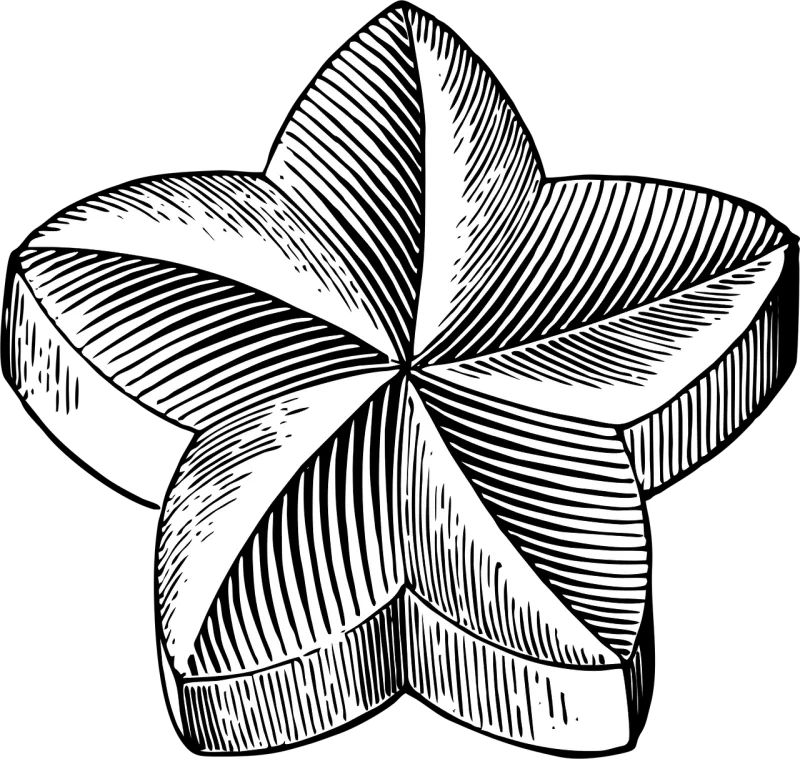 Star Nature Flower wallpaper Stickdatei – Weihnachten