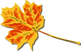 Leaf Nature Fall Stickdatei