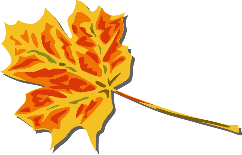 Leaf Nature Fall Stickdatei – Natur