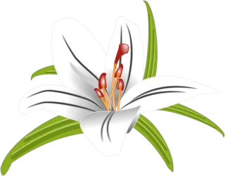 Lilly Flower Floral Stickdatei