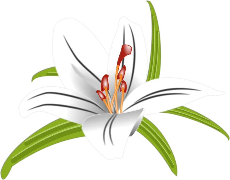 Lilly Flower Floral Stickdatei – Blumen