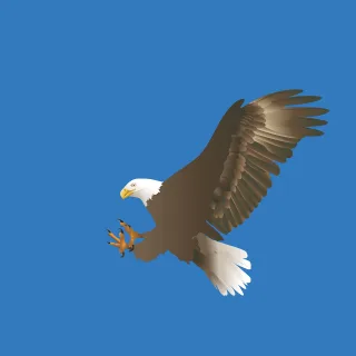 Eagle Bald eagle Flight Stickdatei
