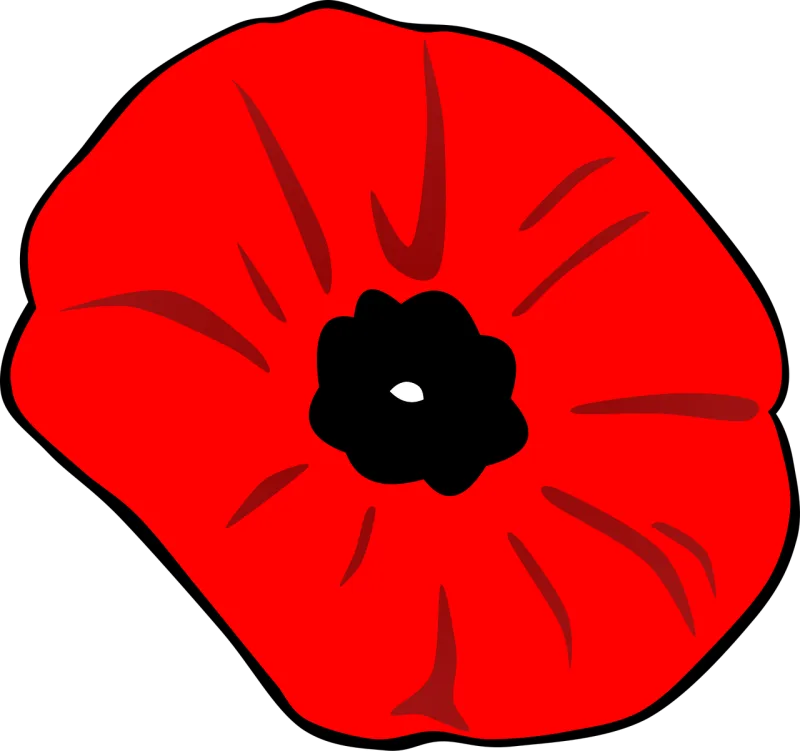 Poppy Orange poppy Red poppy Stickdatei – Blumen